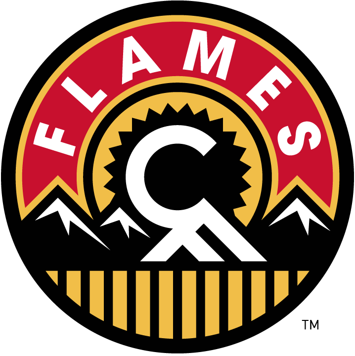 Calgary Flames 2013-2016 Alternate Logo t shirts iron on transfers